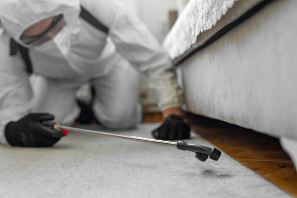 Professional Termite Control technician working in Indio, CA