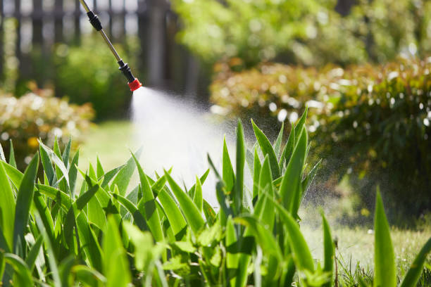 24/7 Emergency Termite Control experts in Indio, CA