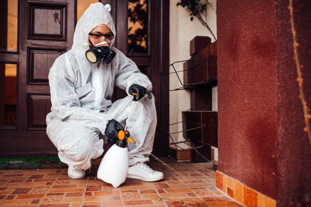 Reliable Termite Control contractor in Indio, CA by Nex Pest Control